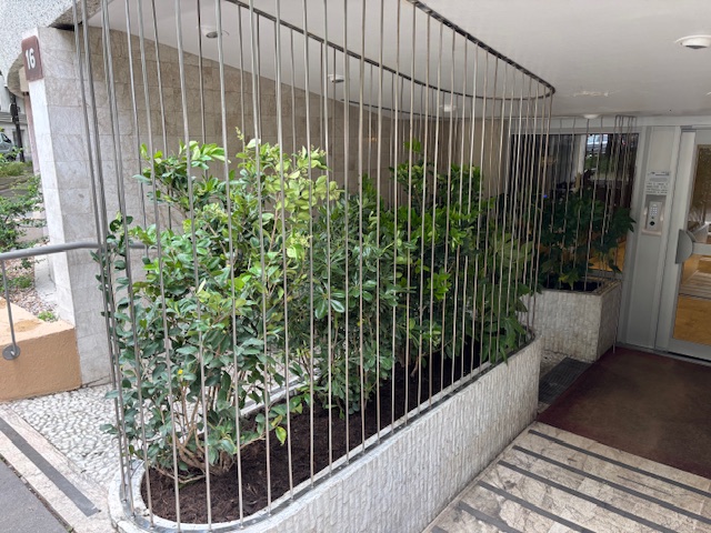 Hall d’immeuble végétalisé à Paris 15e avec bacs protégés par barreaudages métalliques