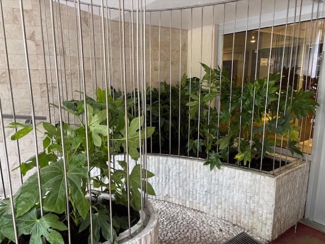 Entrée d’immeuble rénovée et végétalisée à Paris 15e, protection anti-vandalisme